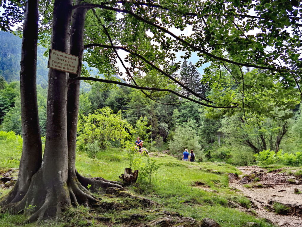 Josefsthaler Wasserfälle